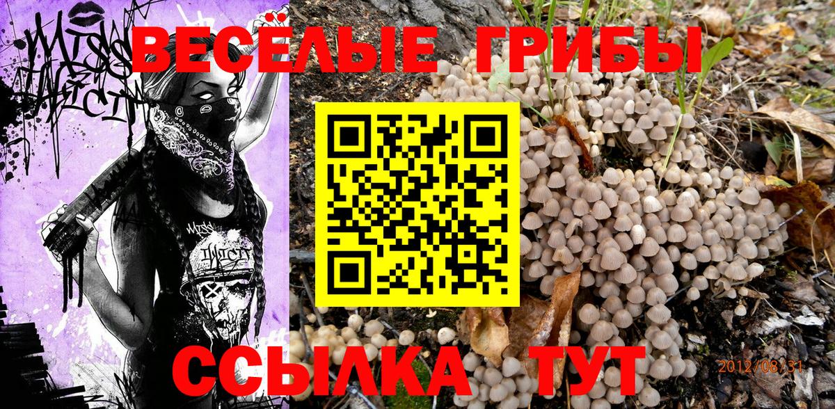 Псилоцибиновые грибы Psilocybine cubensis Тольятти